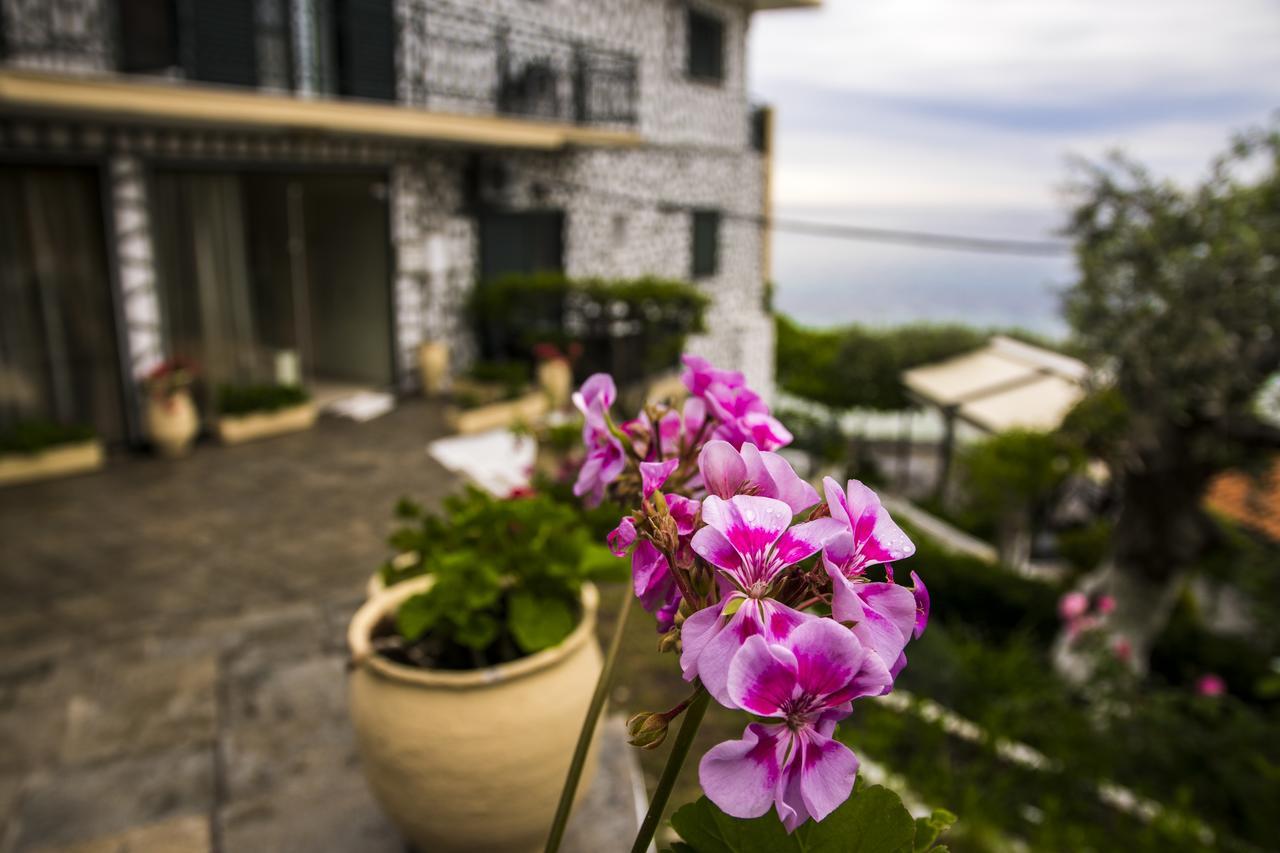 Hotel Villa Nisteri Limenas  Eksteriør billede